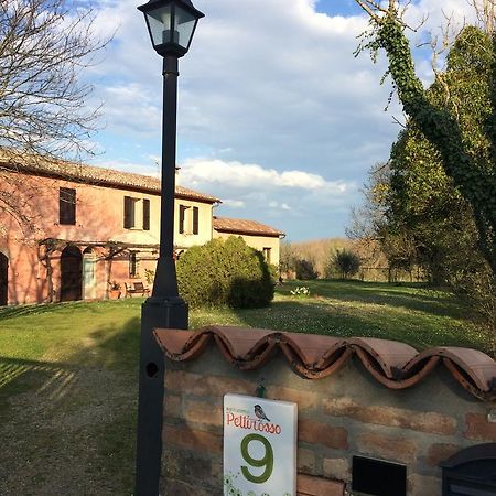Agriturismo Il Pettirosso Forlì Exterior foto